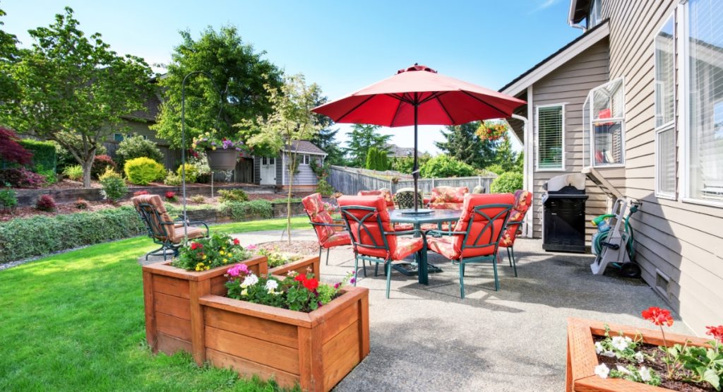 Backyard in the summer