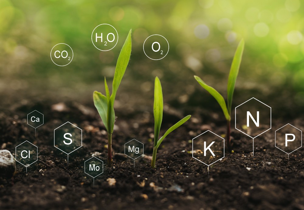 Fertilizer is all about figuring out the right ratio of elements to make the soil perfect