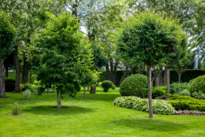 West Michigan Lawn Care