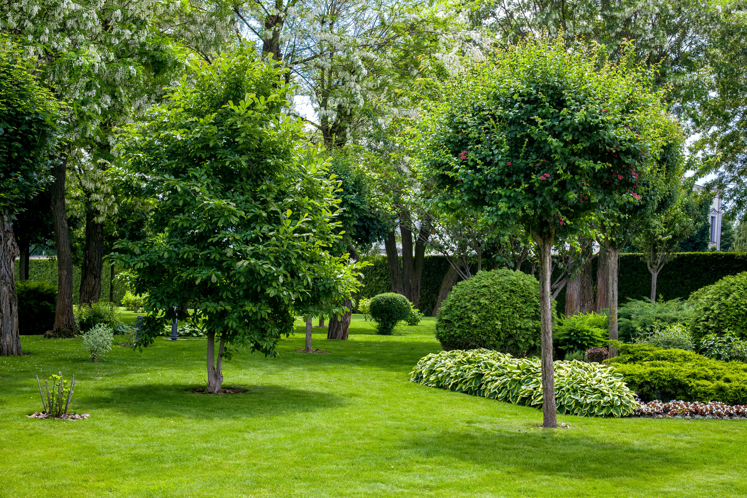 West Michigan Lawn Care